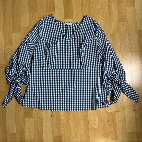 J. Crew X Universal Standard Blue and White Gingham Poplin Blouse Large Cotton - Picture 8 of 14